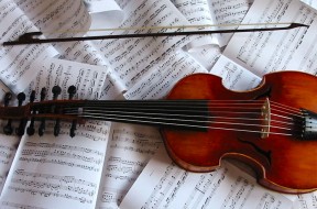 viola D’amore