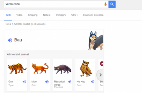 Google-Verso-Animali