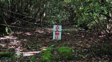 foresta dei suicidi