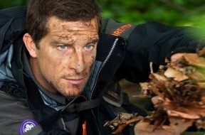 bear grylls