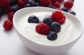 yogurt