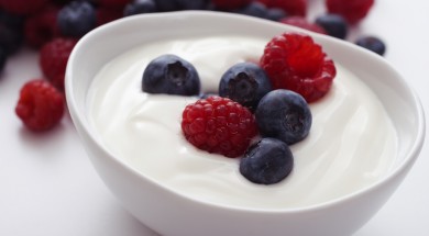 yogurt