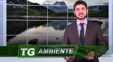 TG-AMBIENTE-FOTO