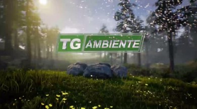 tg ambiente