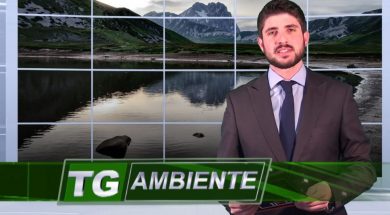 Tg-Ambiente-fabio