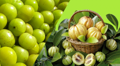 Garcinia-Cambogia