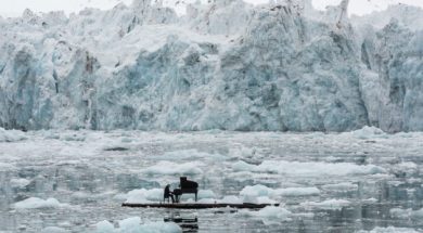 einaudi-greenpeace-7-630×420