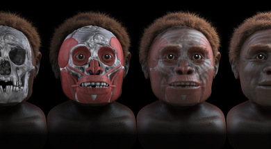 homo floresiensis