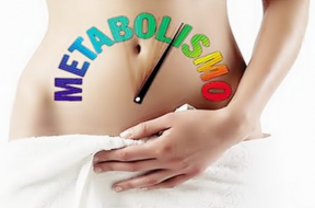 metabolismo lento